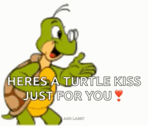 I Like Turtles Flying Kiss GIF