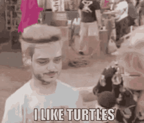 I Like Turtles Kid GIF