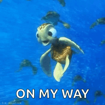 I Like Turtles On My Way GIF