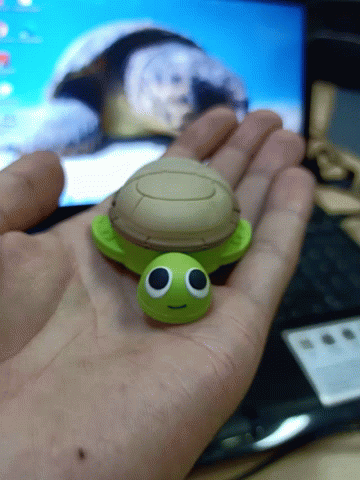 I Like Turtles Toy GIF