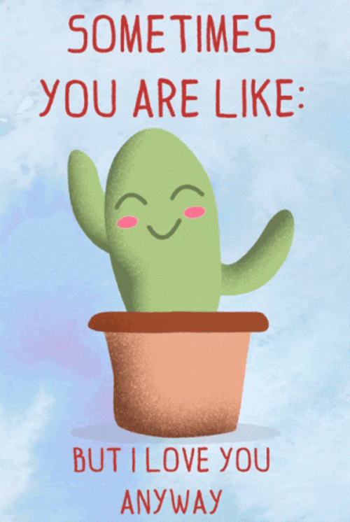 I Like You GIF
