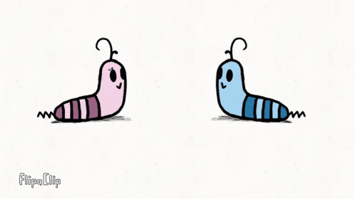 I Like You Love Worms GIF