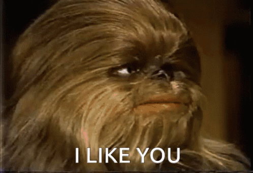 I Like You Chewbacca Dog GIF