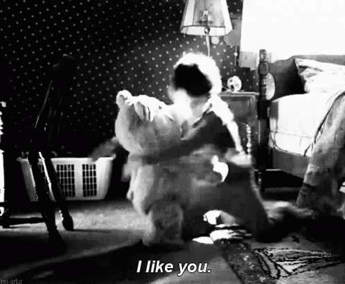 I Like You Hug Teddy Bear GIF