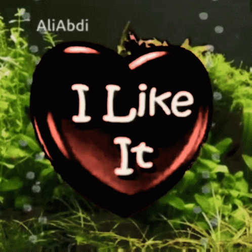 I Like You Heart I Like It GIF