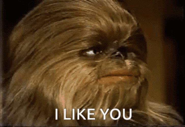 I Like You Chewbacca Dog GIF