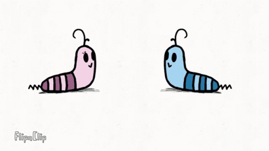 I Like You Love Worms GIF