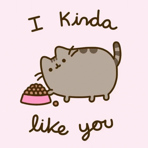 I Like You Pusheen Cat GIF
