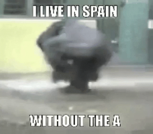 I Live In Spain Monkey Spinning GIF