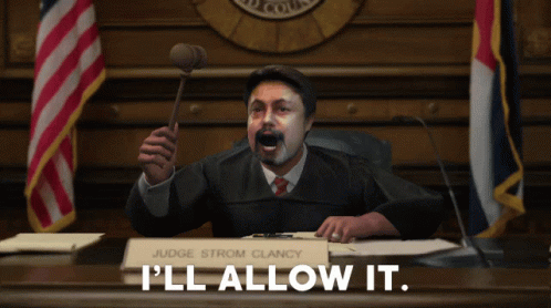 Judge I'll Allow It GIF