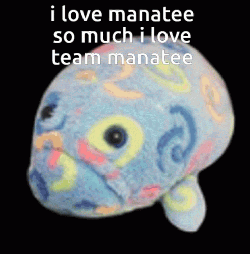 I Love A Team Manatee Toy Plushie GIF