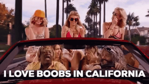 I Love Boobs In California GIF