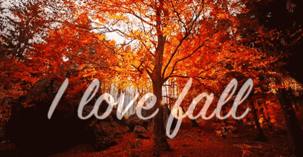 I Love Fall GIF