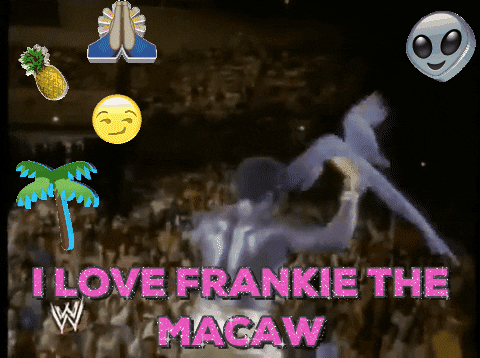 I Love Frankie The Macaw GIF