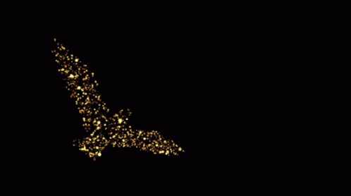 I Love Gold Bird Flying Animation GIF