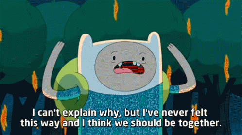 I Love It When A Plan Comes Together Finn Human GIF