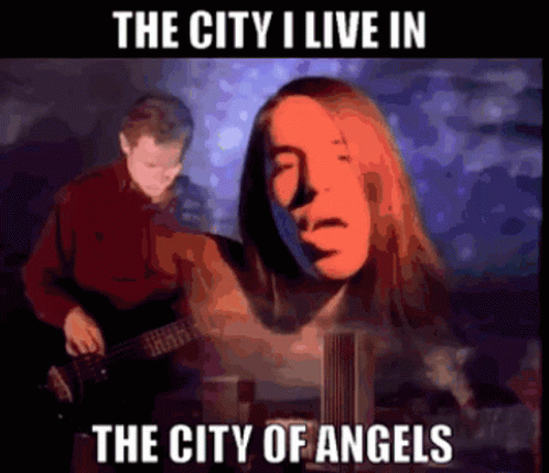 I Love La The City I Live In GIF