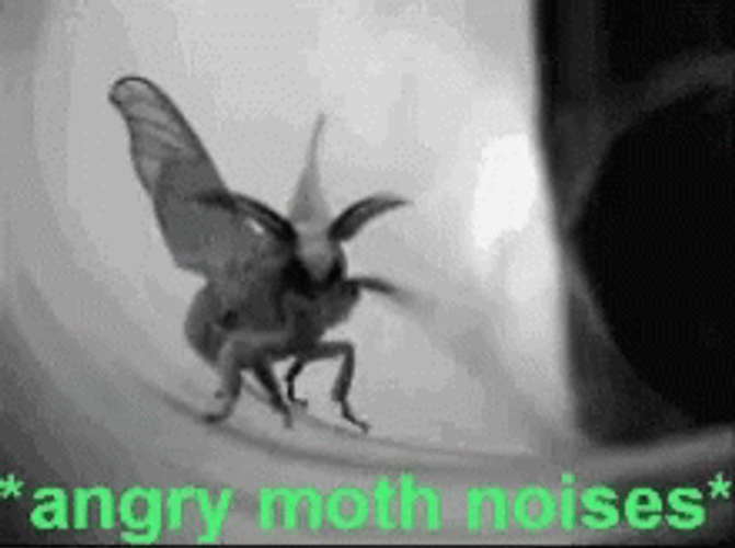 I Love Lamp GIF