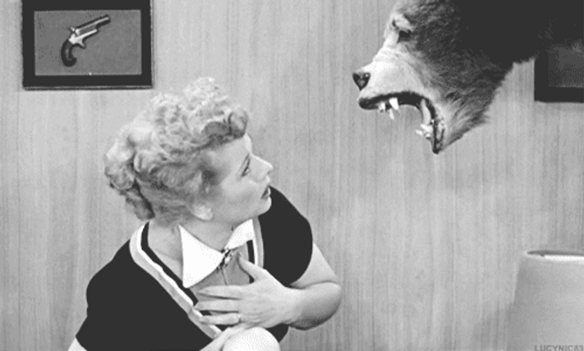 I Love Lucy Vintage GIF