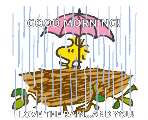 I Love Rainy Tuesday Good Morning GIF