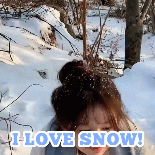I Love Snowfall GIF