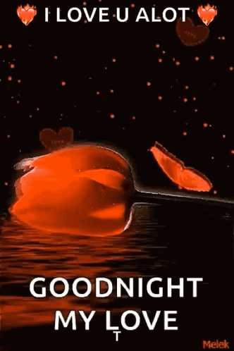 I Love U Alot Goodnight My Love Hearts And Flowers GIF