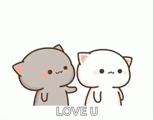 I Love U Cute Couple Cat GIF