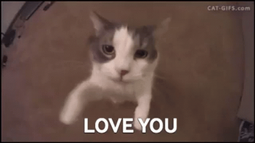 I Love U GIF