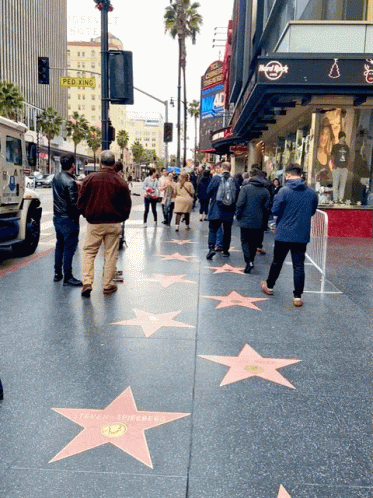I Love Walk Of Fame La GIF
