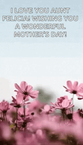I Love You Aunt Felicia Happy Mother's Day GIF