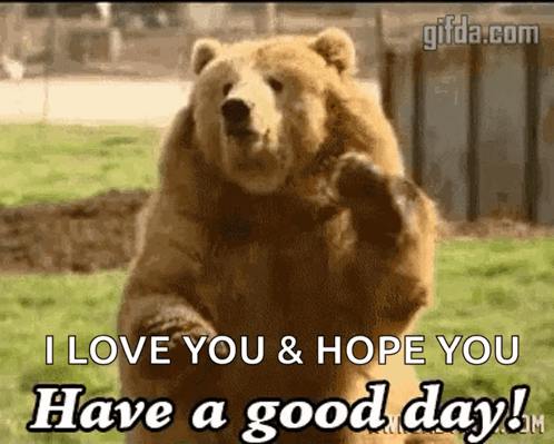 I Love You Bear Hope You're Having A Good Day GIF
