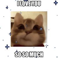 I Love You Cat Sticker GIF
