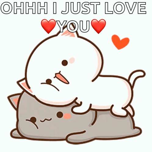 I Love You Cute Cats Cuddle Together GIF
