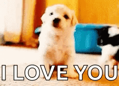 I Love You Cute Puppy Wave GIF