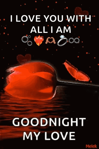 I Love You Goodnight Red Rose Hearts GIF