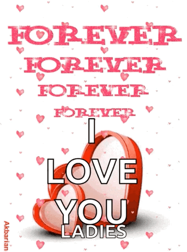 I Love You Ladies Poster