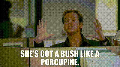 I Love You Man Got A Bush Like A Porcupine GIF