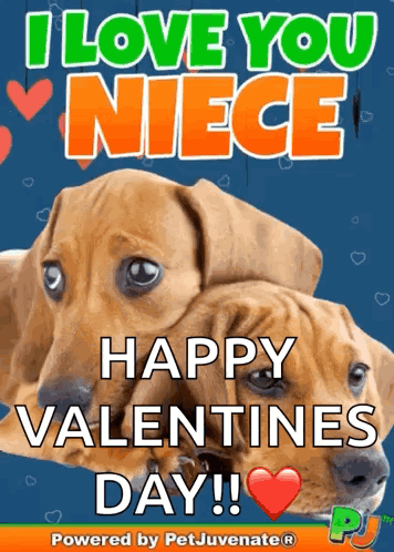 I Love You Niece Happy Valentine's Day