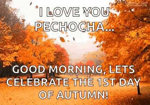 I Love You Pechocha Good Morning Let 'S Celebrate The 1St Day Of Autumn ! GIF