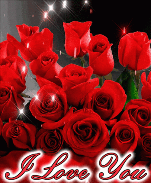 I Love You Red Roses GIF 