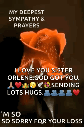 I Love You Sister Orlene God Got You Sending Lots Hugs Im So So Sorry For Your Loss GIF