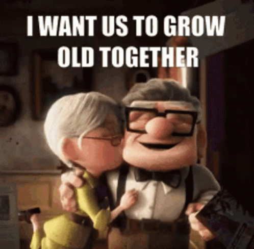 I Love You This Much Carl And Ellie GIF
