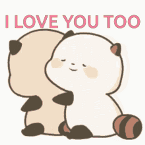 I Love You Too Cute Raccoon Couple Love Hug GIF