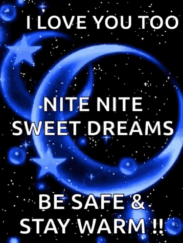 I Love You Too Nite Nite Sweet Dreams Be Safe And Stay Warm !! GIF