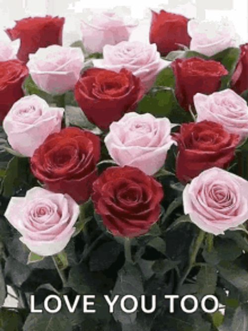 I Love You Too Rose Bouquet Collage GIF