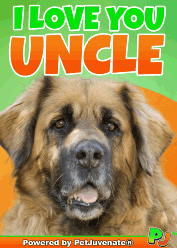 I Love You Uncle Dog Poster