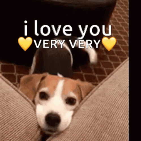 I Love You Ver Very Cute Puppy Wagging Tail GIF