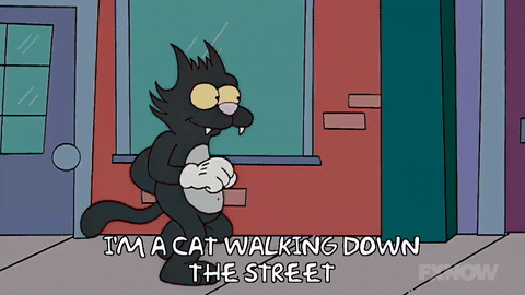 I'm A Cat Walking Down The Street Simpsons GIF