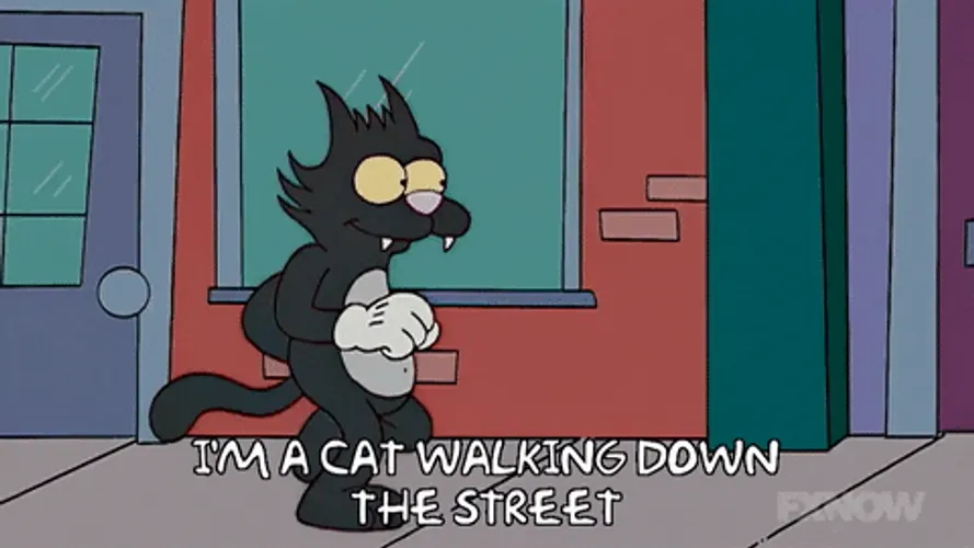 Cat Walking