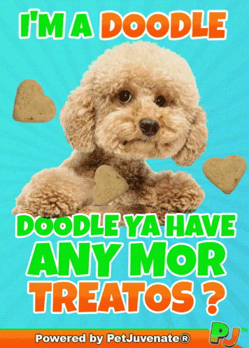 I'm a Doodle Doodle Ya Have Any More Treatos Poster